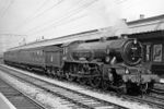 PHOTO  British Railways Steam Locomotive Class B17 61602  at Chelmsford  in 1956