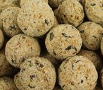 100 x Premium Fat Balls High Energy Quality Feed Wild Garden Bird Food Bulk Box
