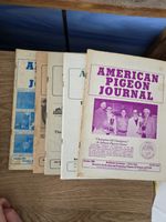 5 Fancy Pigeon Magazines,  American Pigeon Journals,  Flying And Fancy Pigeons