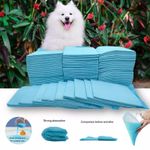 200PCS Puppy Training Trainer Train Pads Toilet Pee Wee Poo Dog Pet Cat Mats