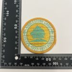 Scout Guide Campsite Badge Kibblestone (D123)