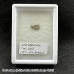 Lunar Meteorite NWA 8687 Genuine Moon Rock Morocco Authentic Specimen with