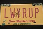 Bob Odenkirk Signed Better Call Saul Registration Plate