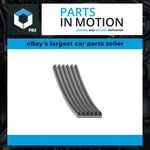 6 Rib Multi V Drive Belt AD06R975 Blue Print 60571125 60625590 1609419980 6PK972