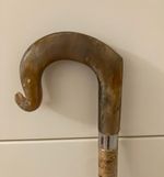 Lovely COW Horn crook HANDLE on Hazel ,Walking and Hiking stick.