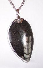 Silver Plated Orthoceras Fossil Pendant + chain, protection,past life recall A10