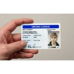 Jay AKA Bret Clement Inbetweeners Fake ID Driving License - Fun Fancy Dress Prop