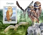 OWLS Birds of Prey Birds/Bird MNH 1v-Stamp Sheet #1643 (2021 Sao Tome)