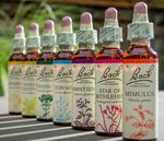 Nelsons Bach Original Flower Remedies 20ml - All Remedies Available
