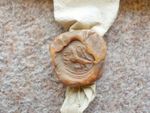 1614 Isle of Ely Cambs Vellum Indenture fen drainage Sir Miles Sandys nice seal