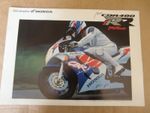1993-1994  honda  CBR400RR  ( NC29) Brochure  from JAPAN   CBR400 RR