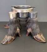 ANTIQUE WILD BOAR TAXIDERMY ASH TRAY C1900 SUPER RARE 4 FEET GENTLEMANS PAD UK