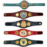 WBC, IBF, IBO, WBO, WBA Set of All boxing Championship Title Belts Adult Size 3D