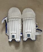 AJ Cricket Batting  Pads