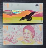 Lake District Pound, Charlotte Mason, Transition, Unc