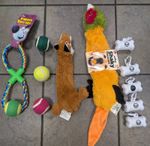 Dog Toy Bundle - Cheeko Figure 8 + Tennis Balls Shaky Fox & Pheasant +5 Poo Bags