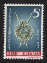 'Amphicraspedum murrayanum' Protozoans Marine Life Senegal 1972 MNH SG#507