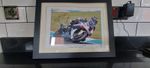 James Toseland Signed Framed Picture