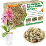 500G Premium Sphagnum Moss for Plants