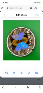 1930s MORPHO BUTTERFLY WING ASHTRAY Art Deco Aliminum