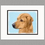Rhodesian Ridgeback Dog Original Art Print 8x10 Matted to 11x14