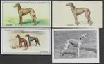 4 Different Vintage WHIPPET Tobacco/Cigarette Dog Cards