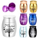 Small Cremation Urn Jar Holder Keepsake for Human Pet Ashes Memorial Funeral Box