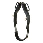 Horse Trick Riding and Healing Therapy Riding Vaulting Surcingle