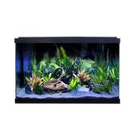 Swell Aquarium Kit Premium 60cm Tropical , 57L, Ultra-Clear Glass, LED Lighting