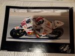 Marco Simoncelli (The Signature Collection) Digital Signed Photo