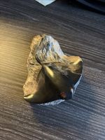 Polished Petrified Wood Stingray Ornament From Australia With Date Of 1995