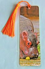 Hippos Hippopotamus Gift Bookmark African Safari Photo Card Animal Lover Him Her