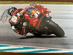 PEDRO ACOSTA HAND SIGNED 12X8 PHOTO 2024 TECH 3 RED BULL GASGAS KTM MOTOGP