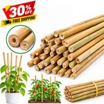 5FT & 6FT Bamboo Garden Canes Plant Support Stakes Natural Strong Sticks 10-100