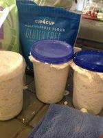 Gluten Free SOURDOUGH BREAD STARTER yeast San Francisco SAMMY plus recipes NEW z