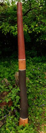 Rare Collectable Traditional Yidaki (didgeridoo) from N.E. Arnhem Land