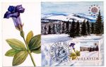 Yugoslavia 1983 Maxi Card - Flower Gentian Michel No. 2000
