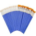 20Pcs Fine/Flat Tip Paint Brushes,Small Brush Bulk for Detail Painting, Blue