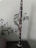 Musical Instrument