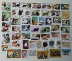 Cats (Domestic) Stamps Collection - 50 to 500 Different Stamps