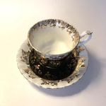 Royal Albert Teacup Saucer Regal Series Floral White Black Gold Bone China UK