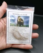 Pleistocene Ice Age Woolly Mammoth Hair Fur Fossil Siberia 