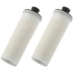 Borimend Steam Cleaner Water Purifier Descaling for SC2 2PCS, White & Black