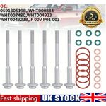 For Audi Q7 VW 3.0 TDI Injector Seal Kit 059130519B WHT000884 + Bolts WHT004923B