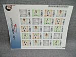 John Oliver Last Week Tonight USPS Stamps Sheet of 20 Photo Stamps 