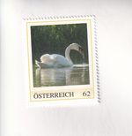 STAMP PM Austria Immigrant Animal Kingdom SWAN Humpback Swan MNH