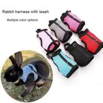 Harness with Leash Set for Rabbits Breathable Pet Vest for Rabbit Ferrets Guinea