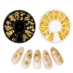 Koilife 2 Boxes 3D Ocean Nail Charms Gold Series Metal Studs for Art