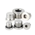 Hydraulic Allen Hex Socket Head Blanking Plugs with Seal Metric & BSP Thread