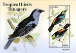 TANAGERS Tanager Tropical Birds/Bird MNH 1v-Stamp Sheet #1999 (2022 Liberia)